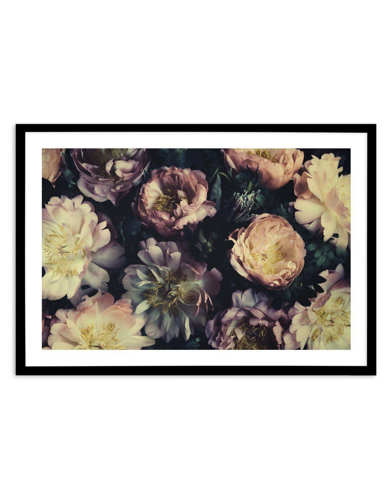In Bloom Art Print-PRINT-Olive et Oriel-Olive et Oriel-A5 | 5.8" x 8.3" | 14.8 x 21cm-Black-With White Border-Buy-Australian-Art-Prints-Online-with-Olive-et-Oriel-Your-Artwork-Specialists-Austrailia-Decorate-With-Coastal-Photo-Wall-Art-Prints-From-Our-Beach-House-Artwork-Collection-Fine-Poster-and-Framed-Artwork