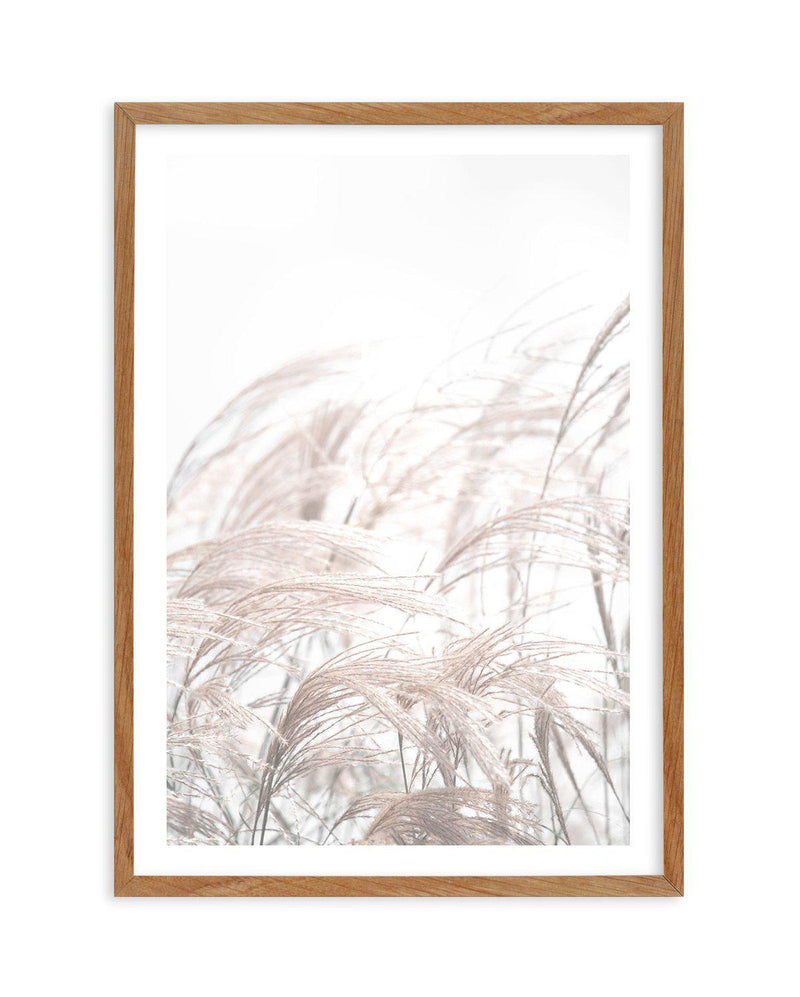 In The Breeze Art Print-PRINT-Olive et Oriel-Olive et Oriel-50x70 cm | 19.6" x 27.5"-Walnut-With White Border-Buy-Australian-Art-Prints-Online-with-Olive-et-Oriel-Your-Artwork-Specialists-Austrailia-Decorate-With-Coastal-Photo-Wall-Art-Prints-From-Our-Beach-House-Artwork-Collection-Fine-Poster-and-Framed-Artwork