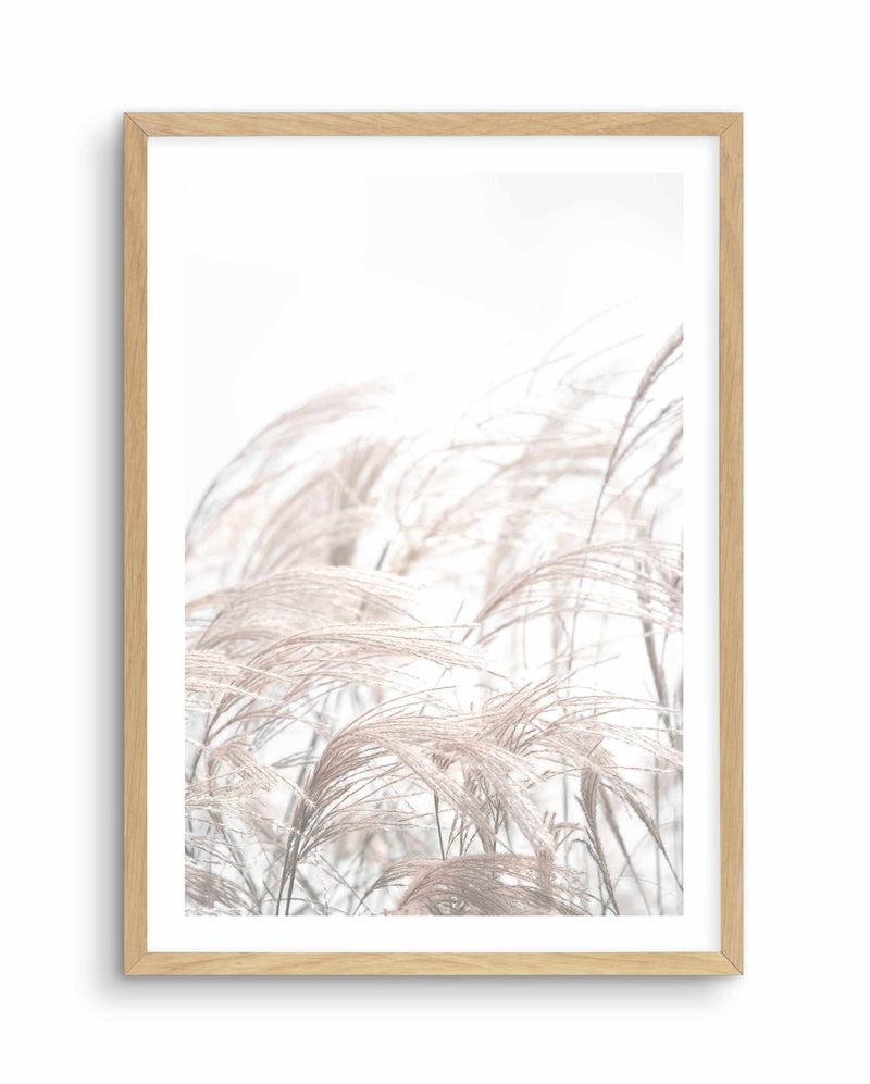 In The Breeze Art Print-PRINT-Olive et Oriel-Olive et Oriel-A4 | 8.3" x 11.7" | 21 x 29.7cm-Oak-With White Border-Buy-Australian-Art-Prints-Online-with-Olive-et-Oriel-Your-Artwork-Specialists-Austrailia-Decorate-With-Coastal-Photo-Wall-Art-Prints-From-Our-Beach-House-Artwork-Collection-Fine-Poster-and-Framed-Artwork