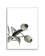 In The Gumtrees I Art Print-PRINT-Olive et Oriel-Olive et Oriel-A4 | 8.3" x 11.7" | 21 x 29.7cm-Unframed Art Print-With White Border-Buy-Australian-Art-Prints-Online-with-Olive-et-Oriel-Your-Artwork-Specialists-Austrailia-Decorate-With-Coastal-Photo-Wall-Art-Prints-From-Our-Beach-House-Artwork-Collection-Fine-Poster-and-Framed-Artwork