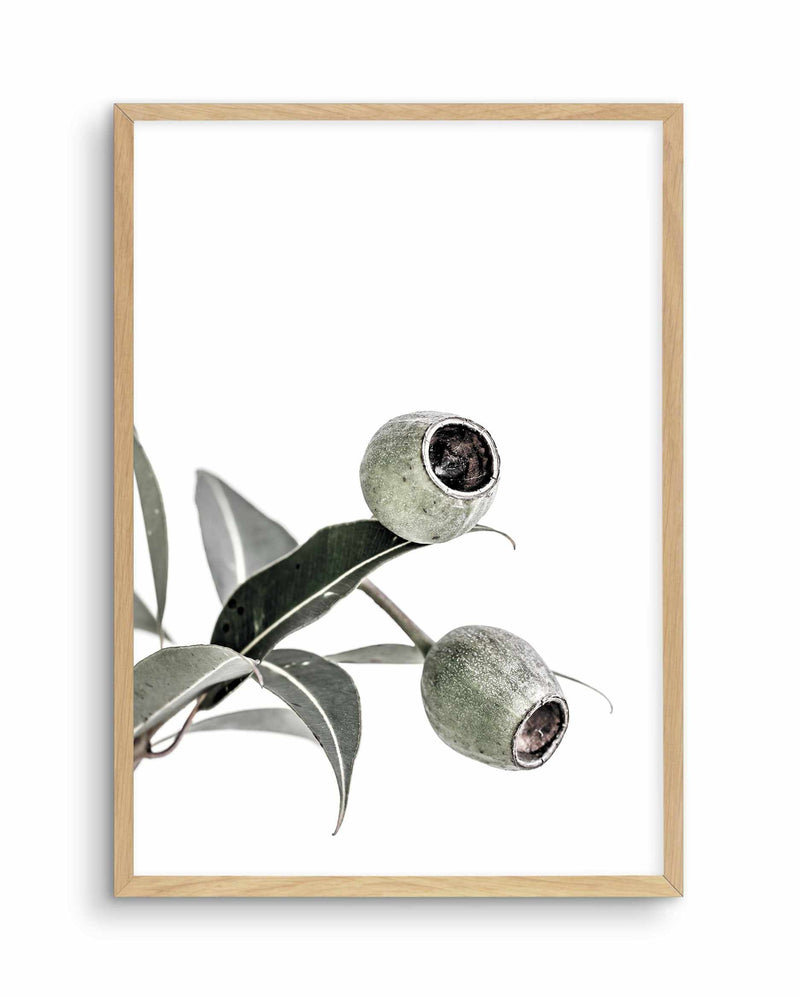In The Gumtrees I Art Print-PRINT-Olive et Oriel-Olive et Oriel-A4 | 8.3" x 11.7" | 21 x 29.7cm-Oak-With White Border-Buy-Australian-Art-Prints-Online-with-Olive-et-Oriel-Your-Artwork-Specialists-Austrailia-Decorate-With-Coastal-Photo-Wall-Art-Prints-From-Our-Beach-House-Artwork-Collection-Fine-Poster-and-Framed-Artwork