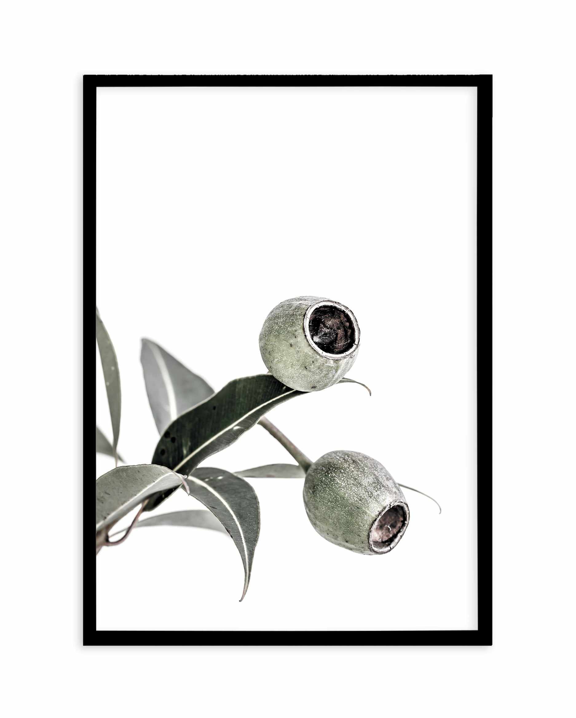 In The Gumtrees I Art Print-PRINT-Olive et Oriel-Olive et Oriel-A4 | 8.3" x 11.7" | 21 x 29.7cm-Black-With White Border-Buy-Australian-Art-Prints-Online-with-Olive-et-Oriel-Your-Artwork-Specialists-Austrailia-Decorate-With-Coastal-Photo-Wall-Art-Prints-From-Our-Beach-House-Artwork-Collection-Fine-Poster-and-Framed-Artwork