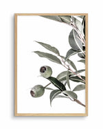 In The Gumtrees II Art Print-PRINT-Olive et Oriel-Olive et Oriel-A4 | 8.3" x 11.7" | 21 x 29.7cm-Oak-With White Border-Buy-Australian-Art-Prints-Online-with-Olive-et-Oriel-Your-Artwork-Specialists-Austrailia-Decorate-With-Coastal-Photo-Wall-Art-Prints-From-Our-Beach-House-Artwork-Collection-Fine-Poster-and-Framed-Artwork