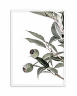In The Gumtrees II Art Print-PRINT-Olive et Oriel-Olive et Oriel-A4 | 8.3" x 11.7" | 21 x 29.7cm-White-With White Border-Buy-Australian-Art-Prints-Online-with-Olive-et-Oriel-Your-Artwork-Specialists-Austrailia-Decorate-With-Coastal-Photo-Wall-Art-Prints-From-Our-Beach-House-Artwork-Collection-Fine-Poster-and-Framed-Artwork