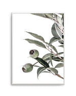 In The Gumtrees II Art Print-PRINT-Olive et Oriel-Olive et Oriel-A4 | 8.3" x 11.7" | 21 x 29.7cm-Unframed Art Print-With White Border-Buy-Australian-Art-Prints-Online-with-Olive-et-Oriel-Your-Artwork-Specialists-Austrailia-Decorate-With-Coastal-Photo-Wall-Art-Prints-From-Our-Beach-House-Artwork-Collection-Fine-Poster-and-Framed-Artwork