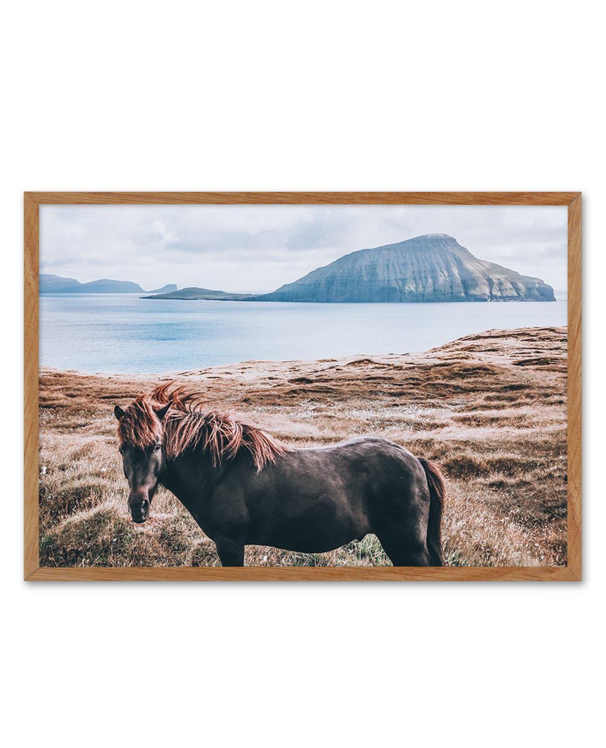 Island Horse Art Print-PRINT-Olive et Oriel-Olive et Oriel-50x70 cm | 19.6" x 27.5"-Walnut-With White Border-Buy-Australian-Art-Prints-Online-with-Olive-et-Oriel-Your-Artwork-Specialists-Austrailia-Decorate-With-Coastal-Photo-Wall-Art-Prints-From-Our-Beach-House-Artwork-Collection-Fine-Poster-and-Framed-Artwork