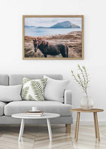 Island Horse Art Print-PRINT-Olive et Oriel-Olive et Oriel-Buy-Australian-Art-Prints-Online-with-Olive-et-Oriel-Your-Artwork-Specialists-Austrailia-Decorate-With-Coastal-Photo-Wall-Art-Prints-From-Our-Beach-House-Artwork-Collection-Fine-Poster-and-Framed-Artwork