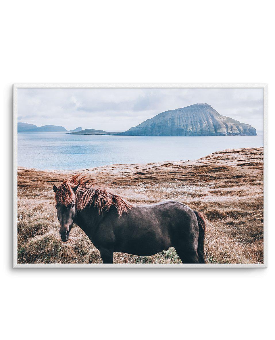 Island Horse Art Print-PRINT-Olive et Oriel-Olive et Oriel-A5 | 5.8" x 8.3" | 14.8 x 21cm-Unframed Art Print-With White Border-Buy-Australian-Art-Prints-Online-with-Olive-et-Oriel-Your-Artwork-Specialists-Austrailia-Decorate-With-Coastal-Photo-Wall-Art-Prints-From-Our-Beach-House-Artwork-Collection-Fine-Poster-and-Framed-Artwork