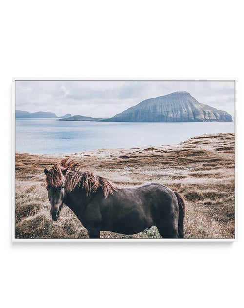 Island Horse | Framed Canvas-CANVAS-You can shop wall art online with Olive et Oriel for everything from abstract art to fun kids wall art. Our beautiful modern art prints and canvas art are available from large canvas prints to wall art paintings and our proudly Australian artwork collection offers only the highest quality framed large wall art and canvas art Australia - You can buy fashion photography prints or Hampton print posters and paintings on canvas from Olive et Oriel and have them del