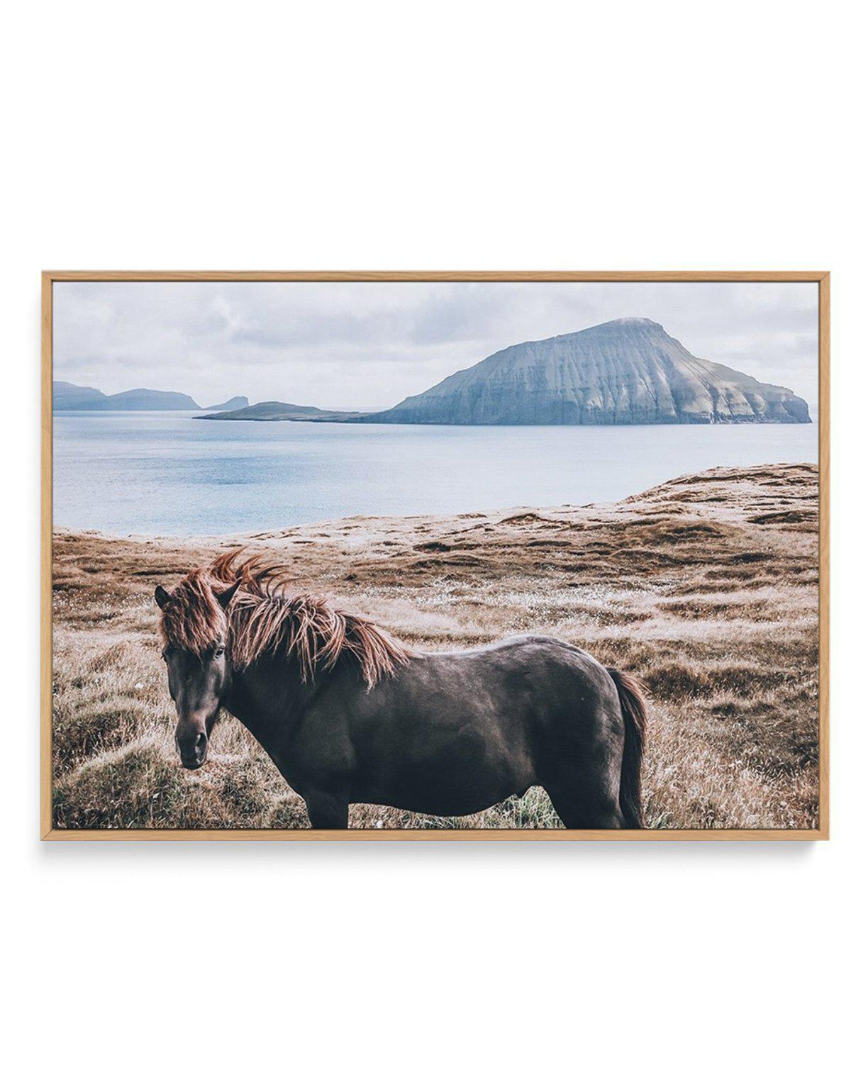 Island Horse | Framed Canvas-CANVAS-You can shop wall art online with Olive et Oriel for everything from abstract art to fun kids wall art. Our beautiful modern art prints and canvas art are available from large canvas prints to wall art paintings and our proudly Australian artwork collection offers only the highest quality framed large wall art and canvas art Australia - You can buy fashion photography prints or Hampton print posters and paintings on canvas from Olive et Oriel and have them del