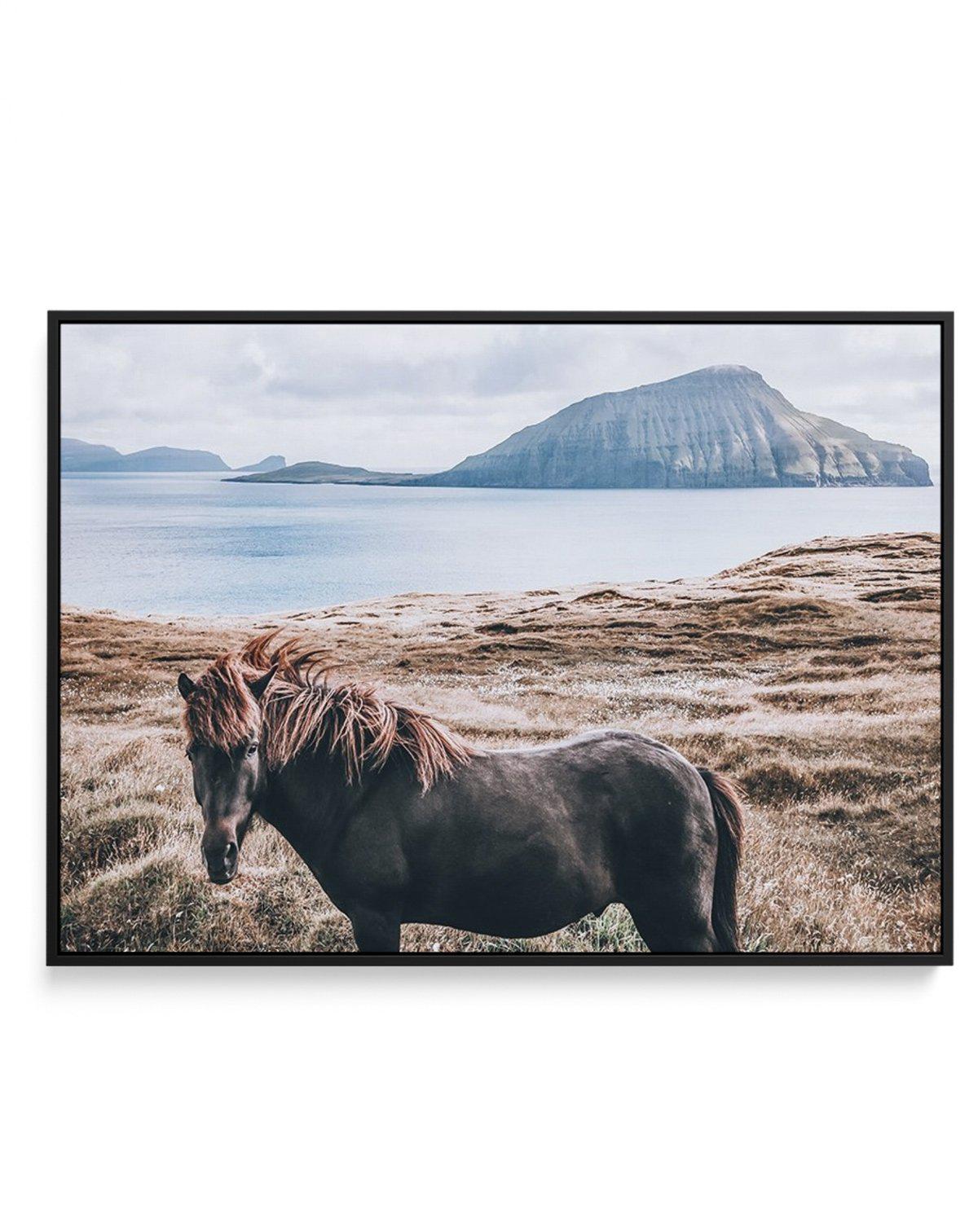 Island Horse | Framed Canvas-CANVAS-You can shop wall art online with Olive et Oriel for everything from abstract art to fun kids wall art. Our beautiful modern art prints and canvas art are available from large canvas prints to wall art paintings and our proudly Australian artwork collection offers only the highest quality framed large wall art and canvas art Australia - You can buy fashion photography prints or Hampton print posters and paintings on canvas from Olive et Oriel and have them del