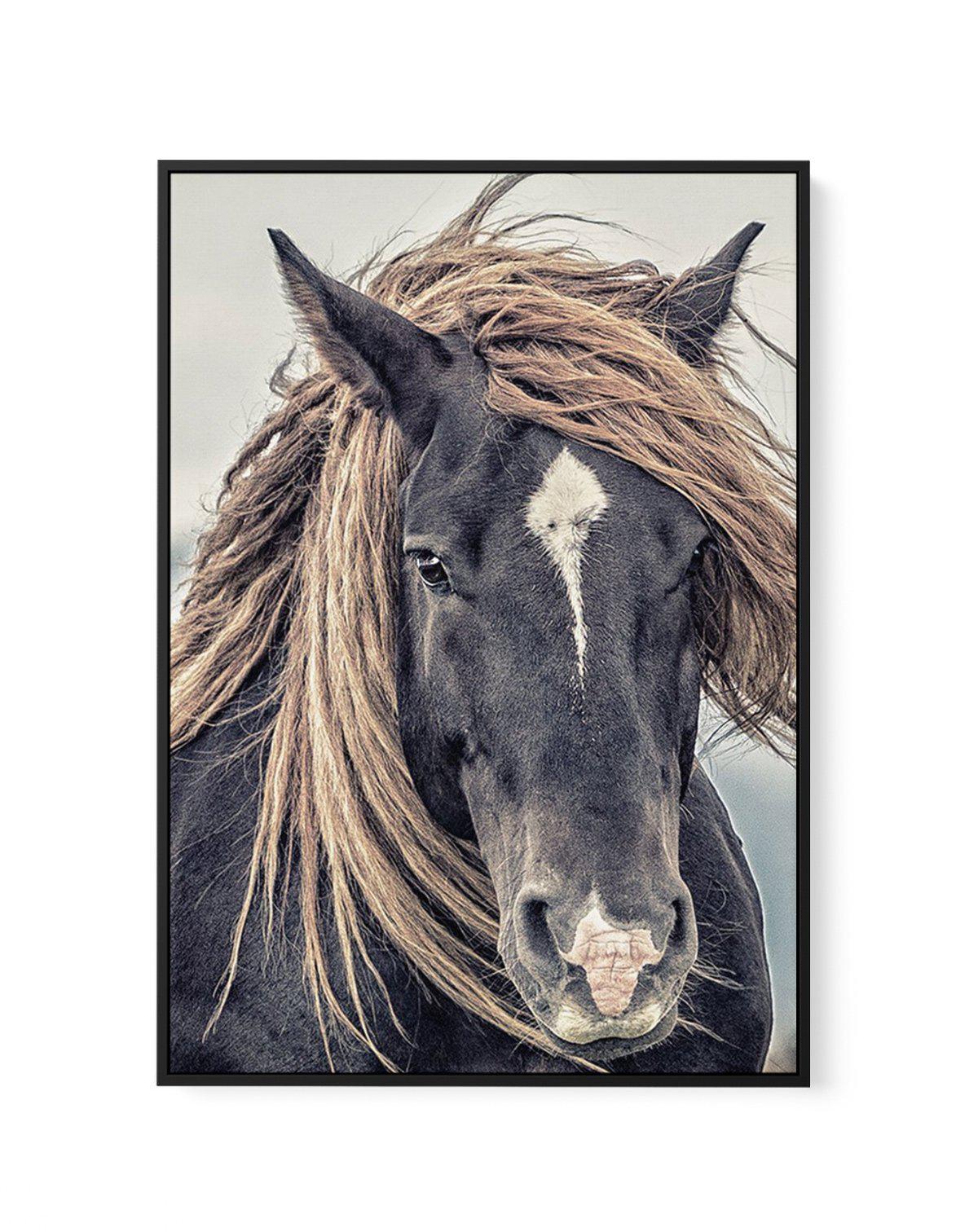 Island Horse II | Framed Canvas-CANVAS-You can shop wall art online with Olive et Oriel for everything from abstract art to fun kids wall art. Our beautiful modern art prints and canvas art are available from large canvas prints to wall art paintings and our proudly Australian artwork collection offers only the highest quality framed large wall art and canvas art Australia - You can buy fashion photography prints or Hampton print posters and paintings on canvas from Olive et Oriel and have them 