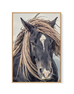 Island Horse II | Framed Canvas-CANVAS-You can shop wall art online with Olive et Oriel for everything from abstract art to fun kids wall art. Our beautiful modern art prints and canvas art are available from large canvas prints to wall art paintings and our proudly Australian artwork collection offers only the highest quality framed large wall art and canvas art Australia - You can buy fashion photography prints or Hampton print posters and paintings on canvas from Olive et Oriel and have them 
