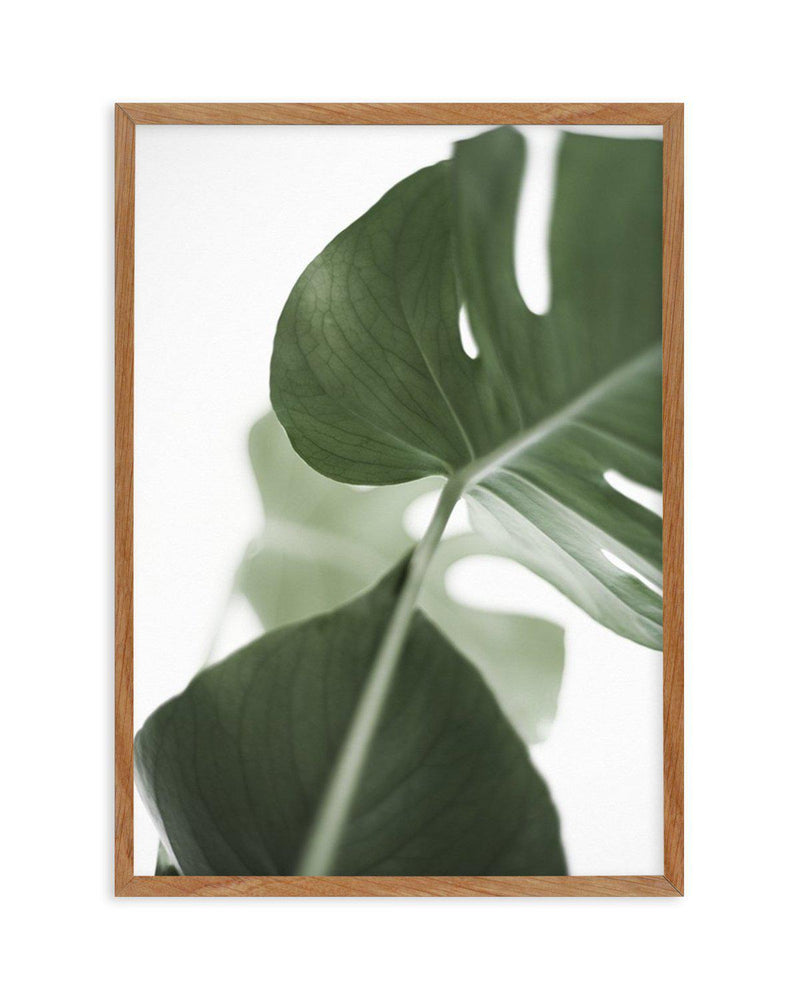 Island Luxe I | Monstera Art Print-PRINT-Olive et Oriel-Olive et Oriel-50x70 cm | 19.6" x 27.5"-Walnut-With White Border-Buy-Australian-Art-Prints-Online-with-Olive-et-Oriel-Your-Artwork-Specialists-Austrailia-Decorate-With-Coastal-Photo-Wall-Art-Prints-From-Our-Beach-House-Artwork-Collection-Fine-Poster-and-Framed-Artwork