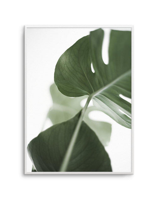 Island Luxe I | Monstera Art Print-PRINT-Olive et Oriel-Olive et Oriel-A4 | 8.3" x 11.7" | 21 x 29.7cm-Unframed Art Print-With White Border-Buy-Australian-Art-Prints-Online-with-Olive-et-Oriel-Your-Artwork-Specialists-Austrailia-Decorate-With-Coastal-Photo-Wall-Art-Prints-From-Our-Beach-House-Artwork-Collection-Fine-Poster-and-Framed-Artwork