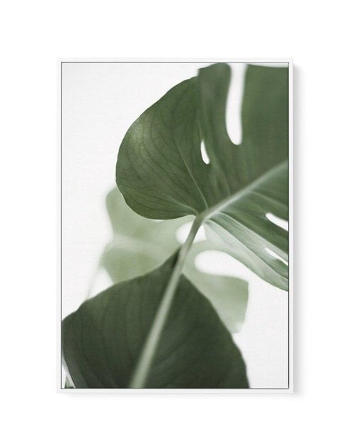 Island Luxe I | Monstera | Framed Canvas-CANVAS-You can shop wall art online with Olive et Oriel for everything from abstract art to fun kids wall art. Our beautiful modern art prints and canvas art are available from large canvas prints to wall art paintings and our proudly Australian artwork collection offers only the highest quality framed large wall art and canvas art Australia - You can buy fashion photography prints or Hampton print posters and paintings on canvas from Olive et Oriel and h