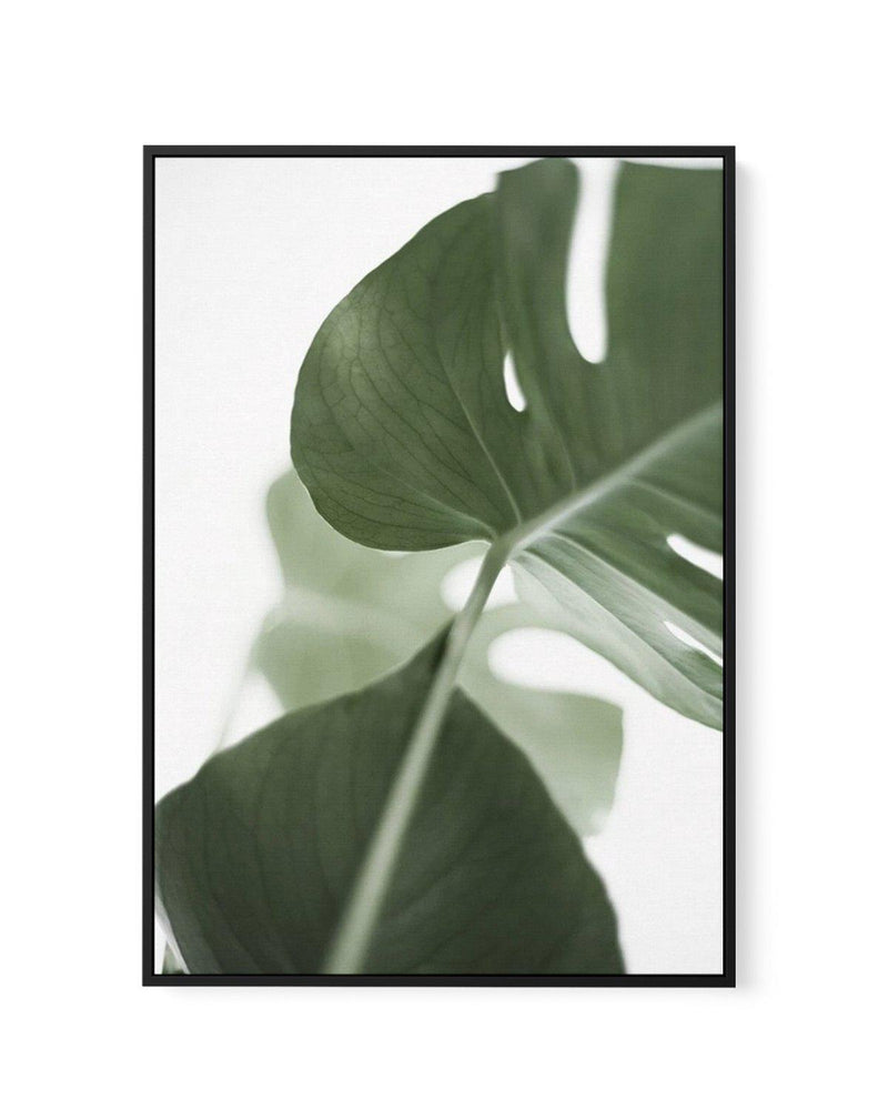 Island Luxe I | Monstera | Framed Canvas-CANVAS-You can shop wall art online with Olive et Oriel for everything from abstract art to fun kids wall art. Our beautiful modern art prints and canvas art are available from large canvas prints to wall art paintings and our proudly Australian artwork collection offers only the highest quality framed large wall art and canvas art Australia - You can buy fashion photography prints or Hampton print posters and paintings on canvas from Olive et Oriel and h