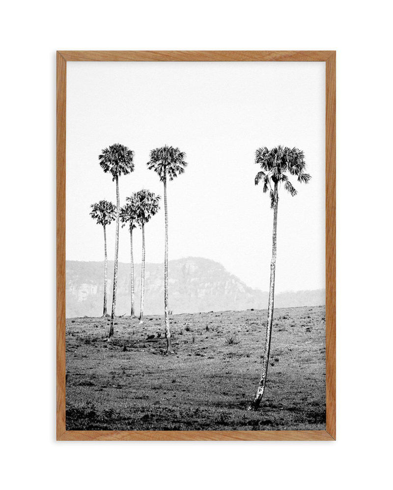 Island Luxe IV | The Lost Palms Art Print-PRINT-Olive et Oriel-Olive et Oriel-50x70 cm | 19.6" x 27.5"-Walnut-With White Border-Buy-Australian-Art-Prints-Online-with-Olive-et-Oriel-Your-Artwork-Specialists-Austrailia-Decorate-With-Coastal-Photo-Wall-Art-Prints-From-Our-Beach-House-Artwork-Collection-Fine-Poster-and-Framed-Artwork