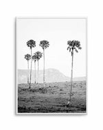 Island Luxe IV | The Lost Palms Art Print-PRINT-Olive et Oriel-Olive et Oriel-A4 | 8.3" x 11.7" | 21 x 29.7cm-Unframed Art Print-With White Border-Buy-Australian-Art-Prints-Online-with-Olive-et-Oriel-Your-Artwork-Specialists-Austrailia-Decorate-With-Coastal-Photo-Wall-Art-Prints-From-Our-Beach-House-Artwork-Collection-Fine-Poster-and-Framed-Artwork