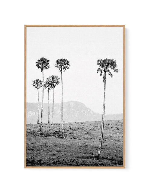 Island Luxe IV | The Lost Palms | Framed Canvas-CANVAS-You can shop wall art online with Olive et Oriel for everything from abstract art to fun kids wall art. Our beautiful modern art prints and canvas art are available from large canvas prints to wall art paintings and our proudly Australian artwork collection offers only the highest quality framed large wall art and canvas art Australia - You can buy fashion photography prints or Hampton print posters and paintings on canvas from Olive et Orie