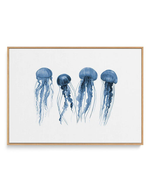 Jellyfish | LS | Framed Canvas-CANVAS-You can shop wall art online with Olive et Oriel for everything from abstract art to fun kids wall art. Our beautiful modern art prints and canvas art are available from large canvas prints to wall art paintings and our proudly Australian artwork collection offers only the highest quality framed large wall art and canvas art Australia - You can buy fashion photography prints or Hampton print posters and paintings on canvas from Olive et Oriel and have them d