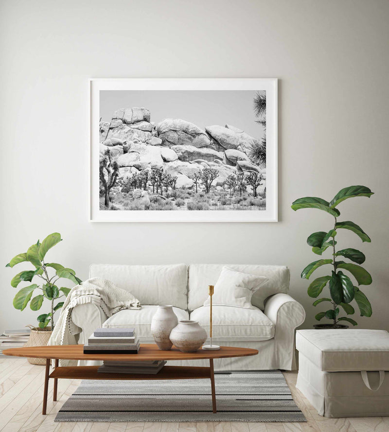 Joshua Tree I | B&W Art Print-PRINT-Olive et Oriel-Olive et Oriel-Buy-Australian-Art-Prints-Online-with-Olive-et-Oriel-Your-Artwork-Specialists-Austrailia-Decorate-With-Coastal-Photo-Wall-Art-Prints-From-Our-Beach-House-Artwork-Collection-Fine-Poster-and-Framed-Artwork
