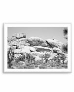 Joshua Tree I | B&W Art Print-PRINT-Olive et Oriel-Olive et Oriel-A4 | 8.3" x 11.7" | 21 x 29.7cm-Unframed Art Print-With White Border-Buy-Australian-Art-Prints-Online-with-Olive-et-Oriel-Your-Artwork-Specialists-Austrailia-Decorate-With-Coastal-Photo-Wall-Art-Prints-From-Our-Beach-House-Artwork-Collection-Fine-Poster-and-Framed-Artwork