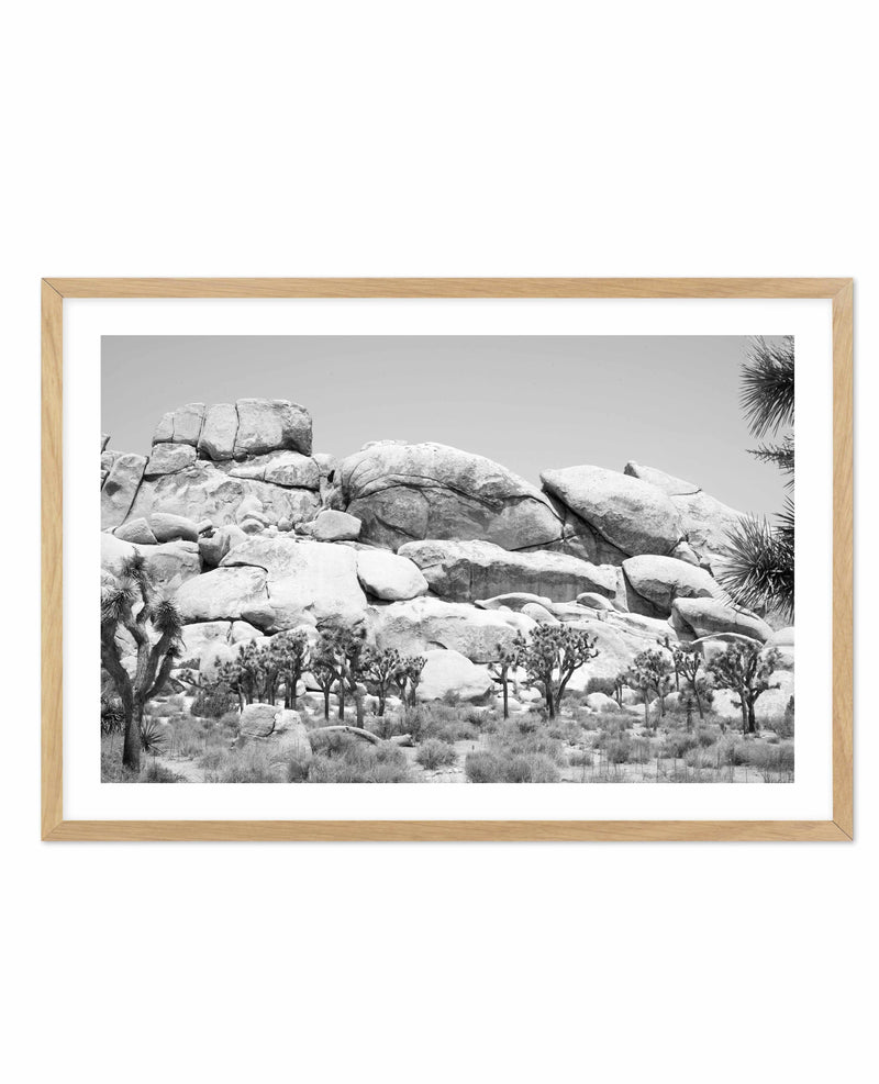 Joshua Tree I | B&W Art Print-PRINT-Olive et Oriel-Olive et Oriel-A4 | 8.3" x 11.7" | 21 x 29.7cm-Oak-With White Border-Buy-Australian-Art-Prints-Online-with-Olive-et-Oriel-Your-Artwork-Specialists-Austrailia-Decorate-With-Coastal-Photo-Wall-Art-Prints-From-Our-Beach-House-Artwork-Collection-Fine-Poster-and-Framed-Artwork