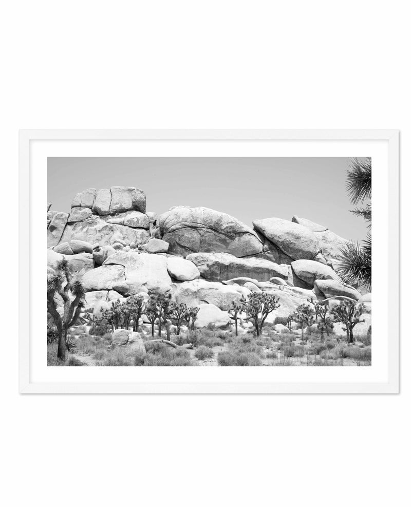 Joshua Tree I | B&W Art Print-PRINT-Olive et Oriel-Olive et Oriel-A4 | 8.3" x 11.7" | 21 x 29.7cm-White-With White Border-Buy-Australian-Art-Prints-Online-with-Olive-et-Oriel-Your-Artwork-Specialists-Austrailia-Decorate-With-Coastal-Photo-Wall-Art-Prints-From-Our-Beach-House-Artwork-Collection-Fine-Poster-and-Framed-Artwork