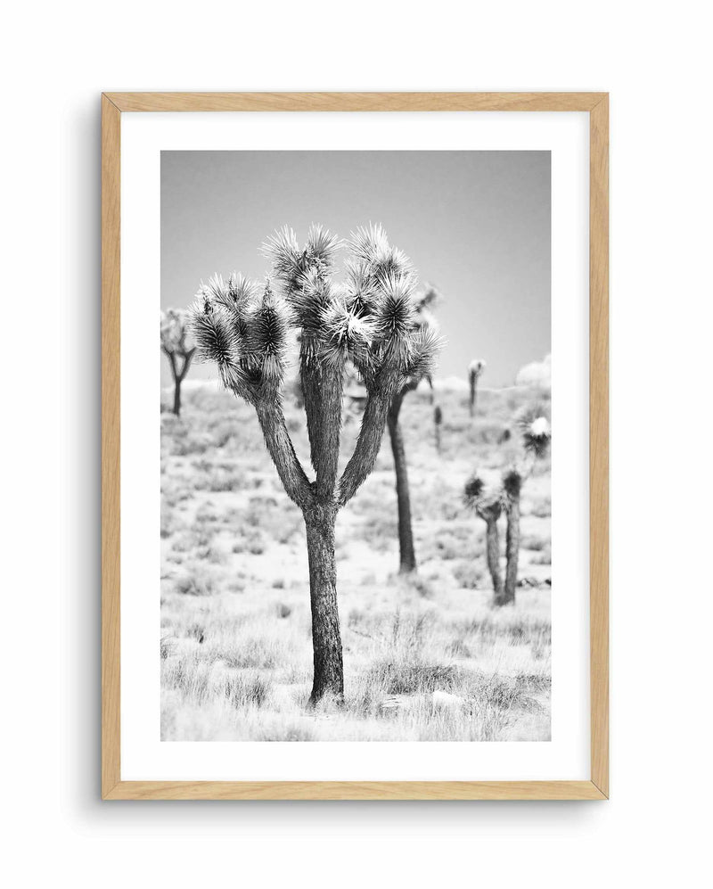 Joshua Tree II | B&W Art Print-PRINT-Olive et Oriel-Olive et Oriel-A4 | 8.3" x 11.7" | 21 x 29.7cm-Oak-With White Border-Buy-Australian-Art-Prints-Online-with-Olive-et-Oriel-Your-Artwork-Specialists-Austrailia-Decorate-With-Coastal-Photo-Wall-Art-Prints-From-Our-Beach-House-Artwork-Collection-Fine-Poster-and-Framed-Artwork