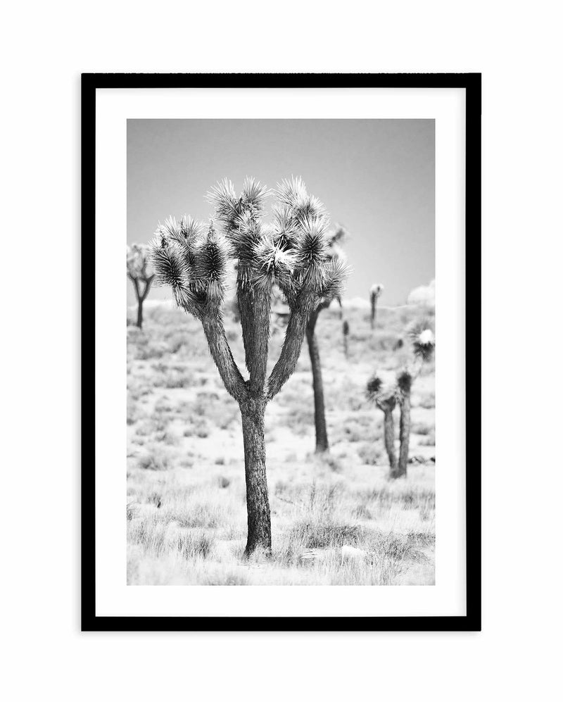 Joshua Tree II | B&W Art Print-PRINT-Olive et Oriel-Olive et Oriel-A4 | 8.3" x 11.7" | 21 x 29.7cm-Black-With White Border-Buy-Australian-Art-Prints-Online-with-Olive-et-Oriel-Your-Artwork-Specialists-Austrailia-Decorate-With-Coastal-Photo-Wall-Art-Prints-From-Our-Beach-House-Artwork-Collection-Fine-Poster-and-Framed-Artwork