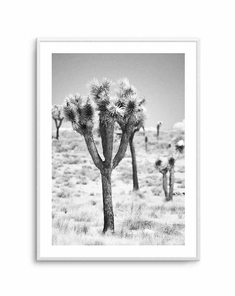 Joshua Tree II | B&W Art Print-PRINT-Olive et Oriel-Olive et Oriel-A4 | 8.3" x 11.7" | 21 x 29.7cm-Unframed Art Print-With White Border-Buy-Australian-Art-Prints-Online-with-Olive-et-Oriel-Your-Artwork-Specialists-Austrailia-Decorate-With-Coastal-Photo-Wall-Art-Prints-From-Our-Beach-House-Artwork-Collection-Fine-Poster-and-Framed-Artwork