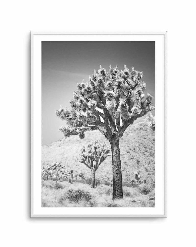 Joshua Tree III | B&W Art Print-PRINT-Olive et Oriel-Olive et Oriel-A4 | 8.3" x 11.7" | 21 x 29.7cm-Unframed Art Print-With White Border-Buy-Australian-Art-Prints-Online-with-Olive-et-Oriel-Your-Artwork-Specialists-Austrailia-Decorate-With-Coastal-Photo-Wall-Art-Prints-From-Our-Beach-House-Artwork-Collection-Fine-Poster-and-Framed-Artwork