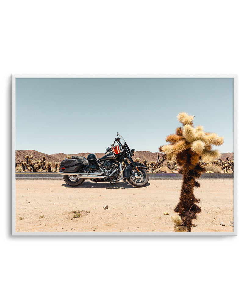 Joshua Tree by Tim Harris Art Print-PRINT-Olive et Oriel-Tim Harris-A5 | 5.8" x 8.3" | 14.8 x 21cm-Unframed Art Print-With White Border-Buy-Australian-Art-Prints-Online-with-Olive-et-Oriel-Your-Artwork-Specialists-Austrailia-Decorate-With-Coastal-Photo-Wall-Art-Prints-From-Our-Beach-House-Artwork-Collection-Fine-Poster-and-Framed-Artwork
