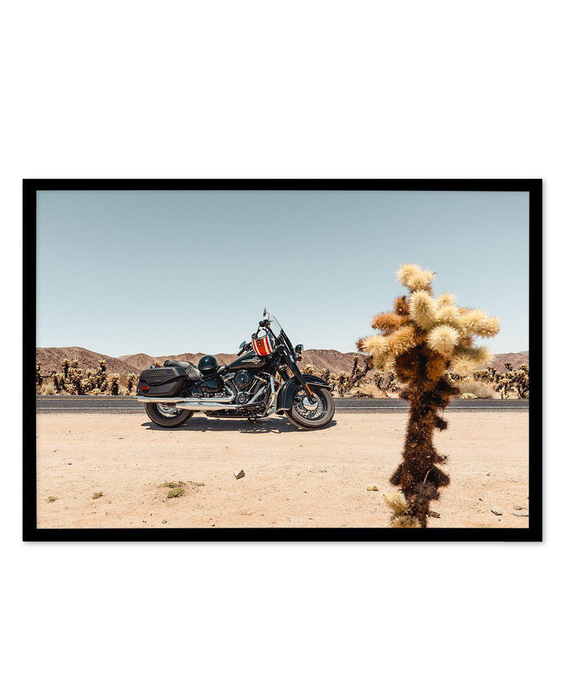 Joshua Tree by Tim Harris Art Print-PRINT-Olive et Oriel-Tim Harris-A5 | 5.8" x 8.3" | 14.8 x 21cm-Black-With White Border-Buy-Australian-Art-Prints-Online-with-Olive-et-Oriel-Your-Artwork-Specialists-Austrailia-Decorate-With-Coastal-Photo-Wall-Art-Prints-From-Our-Beach-House-Artwork-Collection-Fine-Poster-and-Framed-Artwork