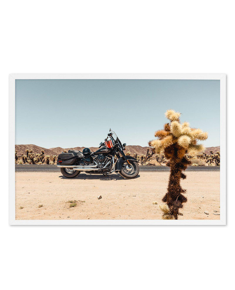 Joshua Tree by Tim Harris Art Print-PRINT-Olive et Oriel-Tim Harris-A5 | 5.8" x 8.3" | 14.8 x 21cm-White-With White Border-Buy-Australian-Art-Prints-Online-with-Olive-et-Oriel-Your-Artwork-Specialists-Austrailia-Decorate-With-Coastal-Photo-Wall-Art-Prints-From-Our-Beach-House-Artwork-Collection-Fine-Poster-and-Framed-Artwork