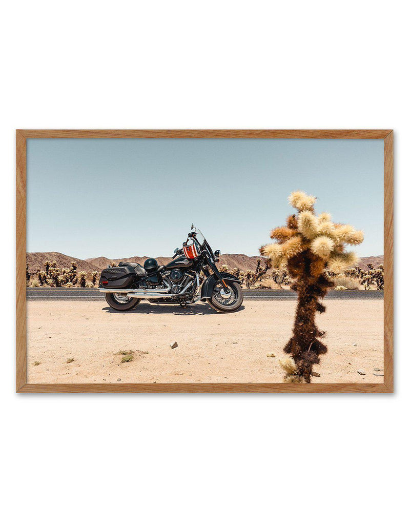 Joshua Tree by Tim Harris Art Print-PRINT-Olive et Oriel-Tim Harris-50x70 cm | 19.6" x 27.5"-Walnut-With White Border-Buy-Australian-Art-Prints-Online-with-Olive-et-Oriel-Your-Artwork-Specialists-Austrailia-Decorate-With-Coastal-Photo-Wall-Art-Prints-From-Our-Beach-House-Artwork-Collection-Fine-Poster-and-Framed-Artwork