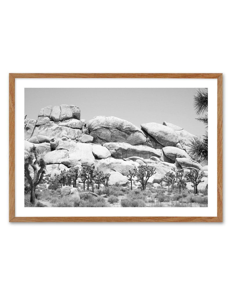 Joshua Tree I | B&W Art Print-PRINT-Olive et Oriel-Olive et Oriel-50x70 cm | 19.6" x 27.5"-Walnut-With White Border-Buy-Australian-Art-Prints-Online-with-Olive-et-Oriel-Your-Artwork-Specialists-Austrailia-Decorate-With-Coastal-Photo-Wall-Art-Prints-From-Our-Beach-House-Artwork-Collection-Fine-Poster-and-Framed-Artwork