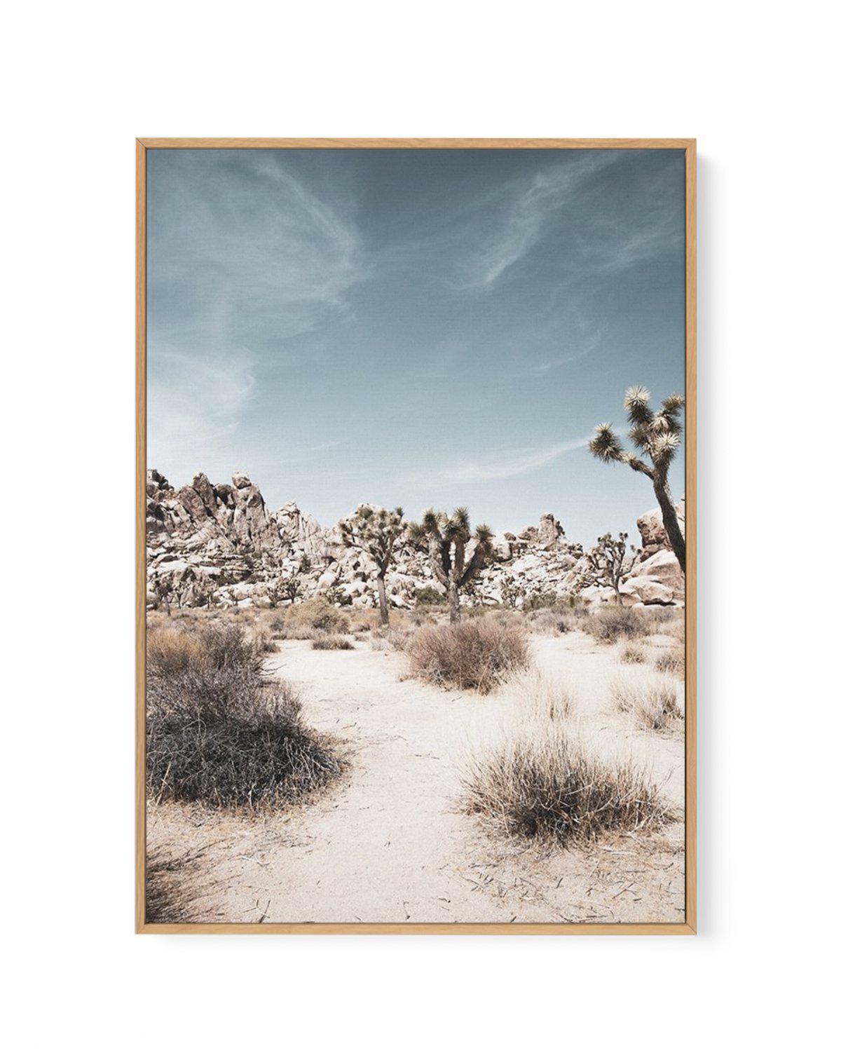 Joshua Tree I | Soft | Framed Canvas-CANVAS-You can shop wall art online with Olive et Oriel for everything from abstract art to fun kids wall art. Our beautiful modern art prints and canvas art are available from large canvas prints to wall art paintings and our proudly Australian artwork collection offers only the highest quality framed large wall art and canvas art Australia - You can buy fashion photography prints or Hampton print posters and paintings on canvas from Olive et Oriel and have 