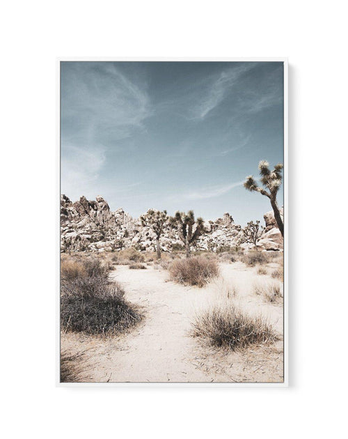 Joshua Tree I | Soft | Framed Canvas-CANVAS-You can shop wall art online with Olive et Oriel for everything from abstract art to fun kids wall art. Our beautiful modern art prints and canvas art are available from large canvas prints to wall art paintings and our proudly Australian artwork collection offers only the highest quality framed large wall art and canvas art Australia - You can buy fashion photography prints or Hampton print posters and paintings on canvas from Olive et Oriel and have 