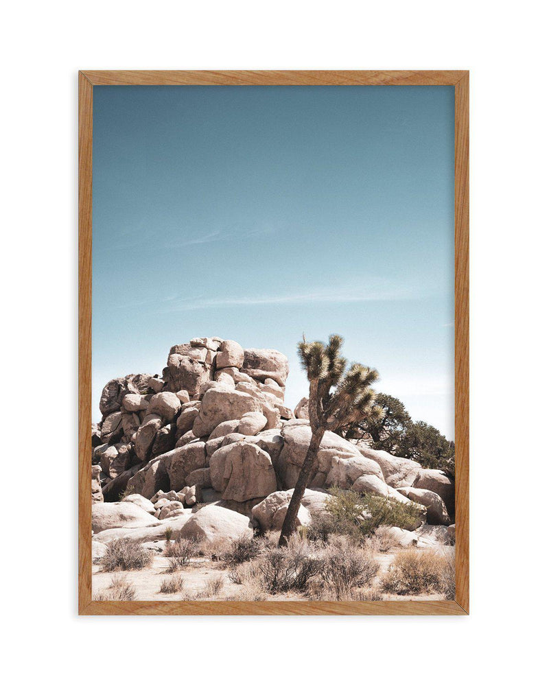 Joshua Tree II | Soft Art Print-PRINT-Olive et Oriel-Olive et Oriel-50x70 cm | 19.6" x 27.5"-Walnut-With White Border-Buy-Australian-Art-Prints-Online-with-Olive-et-Oriel-Your-Artwork-Specialists-Austrailia-Decorate-With-Coastal-Photo-Wall-Art-Prints-From-Our-Beach-House-Artwork-Collection-Fine-Poster-and-Framed-Artwork