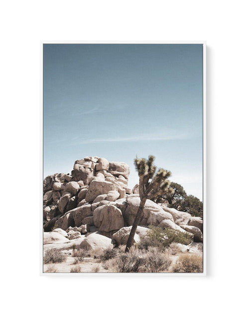 Joshua Tree II | Soft | Framed Canvas-CANVAS-You can shop wall art online with Olive et Oriel for everything from abstract art to fun kids wall art. Our beautiful modern art prints and canvas art are available from large canvas prints to wall art paintings and our proudly Australian artwork collection offers only the highest quality framed large wall art and canvas art Australia - You can buy fashion photography prints or Hampton print posters and paintings on canvas from Olive et Oriel and have