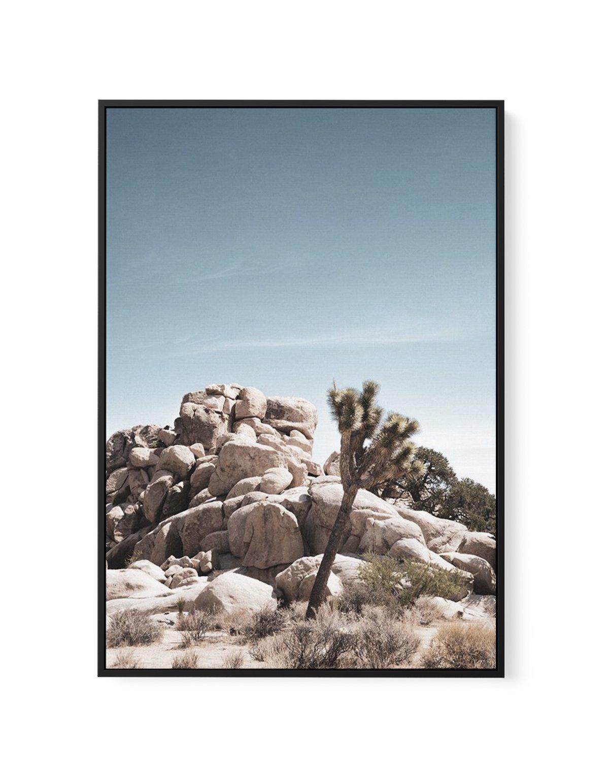 Joshua Tree II | Soft | Framed Canvas-CANVAS-You can shop wall art online with Olive et Oriel for everything from abstract art to fun kids wall art. Our beautiful modern art prints and canvas art are available from large canvas prints to wall art paintings and our proudly Australian artwork collection offers only the highest quality framed large wall art and canvas art Australia - You can buy fashion photography prints or Hampton print posters and paintings on canvas from Olive et Oriel and have