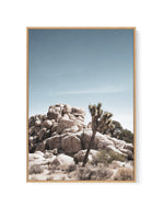 Joshua Tree II | Soft | Framed Canvas-CANVAS-You can shop wall art online with Olive et Oriel for everything from abstract art to fun kids wall art. Our beautiful modern art prints and canvas art are available from large canvas prints to wall art paintings and our proudly Australian artwork collection offers only the highest quality framed large wall art and canvas art Australia - You can buy fashion photography prints or Hampton print posters and paintings on canvas from Olive et Oriel and have