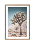 Joshua Tree III | Soft Art Print-PRINT-Olive et Oriel-Olive et Oriel-50x70 cm | 19.6" x 27.5"-Walnut-With White Border-Buy-Australian-Art-Prints-Online-with-Olive-et-Oriel-Your-Artwork-Specialists-Austrailia-Decorate-With-Coastal-Photo-Wall-Art-Prints-From-Our-Beach-House-Artwork-Collection-Fine-Poster-and-Framed-Artwork