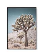 Joshua Tree III | Soft | Framed Canvas-CANVAS-You can shop wall art online with Olive et Oriel for everything from abstract art to fun kids wall art. Our beautiful modern art prints and canvas art are available from large canvas prints to wall art paintings and our proudly Australian artwork collection offers only the highest quality framed large wall art and canvas art Australia - You can buy fashion photography prints or Hampton print posters and paintings on canvas from Olive et Oriel and hav