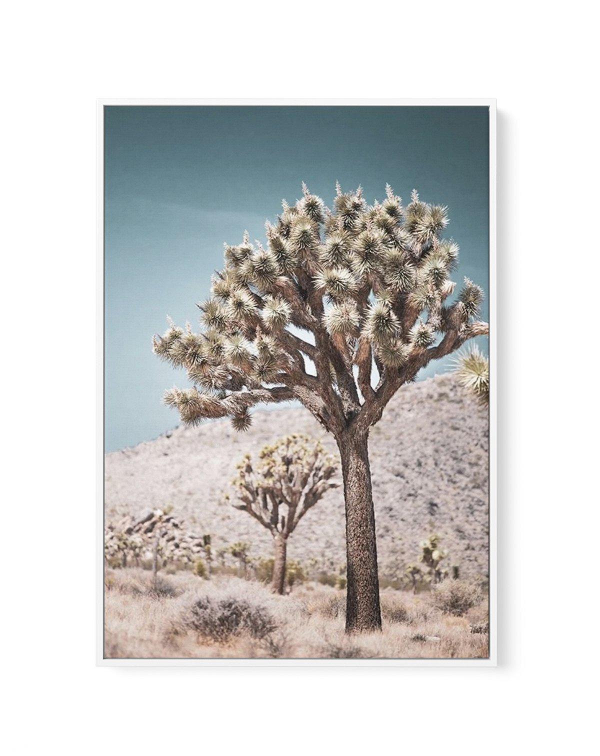 Joshua Tree III | Soft | Framed Canvas-CANVAS-You can shop wall art online with Olive et Oriel for everything from abstract art to fun kids wall art. Our beautiful modern art prints and canvas art are available from large canvas prints to wall art paintings and our proudly Australian artwork collection offers only the highest quality framed large wall art and canvas art Australia - You can buy fashion photography prints or Hampton print posters and paintings on canvas from Olive et Oriel and hav