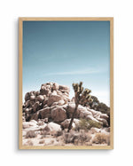 Joshua Tree II | Soft Art Print-PRINT-Olive et Oriel-Olive et Oriel-A4 | 8.3" x 11.7" | 21 x 29.7cm-Oak-With White Border-Buy-Australian-Art-Prints-Online-with-Olive-et-Oriel-Your-Artwork-Specialists-Austrailia-Decorate-With-Coastal-Photo-Wall-Art-Prints-From-Our-Beach-House-Artwork-Collection-Fine-Poster-and-Framed-Artwork