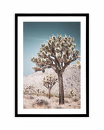 Joshua Tree III | Soft Art Print-PRINT-Olive et Oriel-Olive et Oriel-A4 | 8.3" x 11.7" | 21 x 29.7cm-Black-With White Border-Buy-Australian-Art-Prints-Online-with-Olive-et-Oriel-Your-Artwork-Specialists-Austrailia-Decorate-With-Coastal-Photo-Wall-Art-Prints-From-Our-Beach-House-Artwork-Collection-Fine-Poster-and-Framed-Artwork