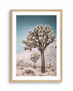 Joshua Tree III | Soft Art Print-PRINT-Olive et Oriel-Olive et Oriel-A4 | 8.3" x 11.7" | 21 x 29.7cm-Oak-With White Border-Buy-Australian-Art-Prints-Online-with-Olive-et-Oriel-Your-Artwork-Specialists-Austrailia-Decorate-With-Coastal-Photo-Wall-Art-Prints-From-Our-Beach-House-Artwork-Collection-Fine-Poster-and-Framed-Artwork